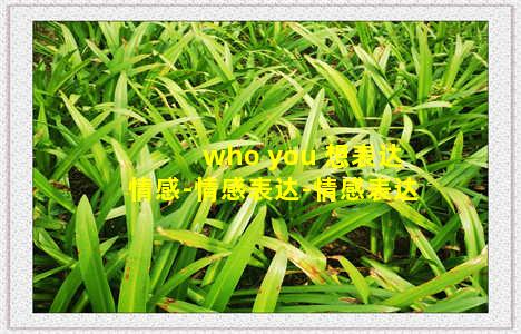 who you 想表达情感-情感表达-情感表达